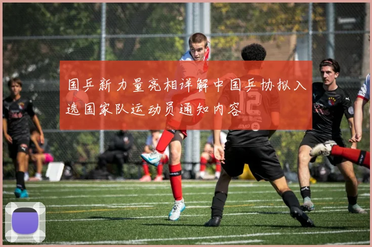 国乒新力量亮相详解中国乒协拟入选国家队运动员通知内容