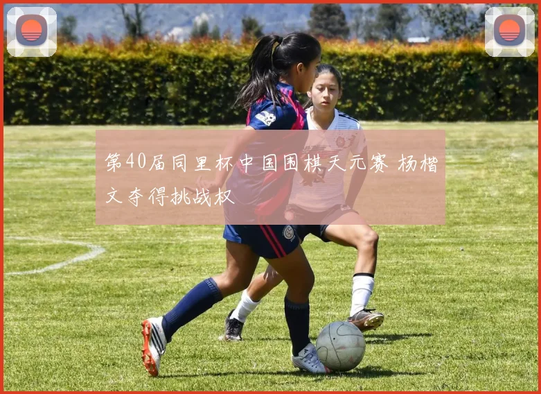 第40届同里杯中国围棋天元赛 杨楷文夺得挑战权