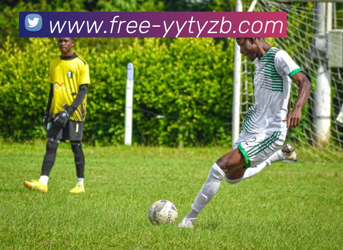 雨燕体育直播品牌故事