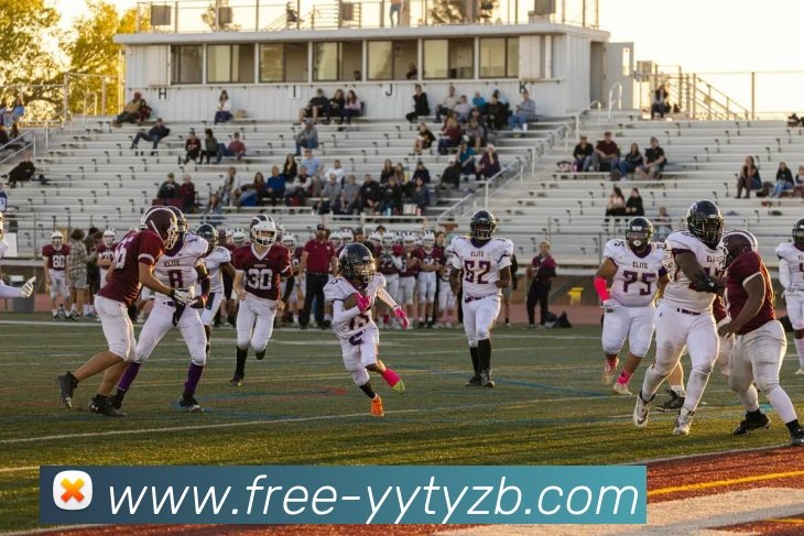 雨燕体育直播服务体系